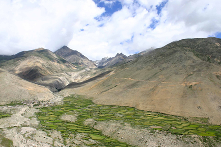 Simikot to Kailash Trekking