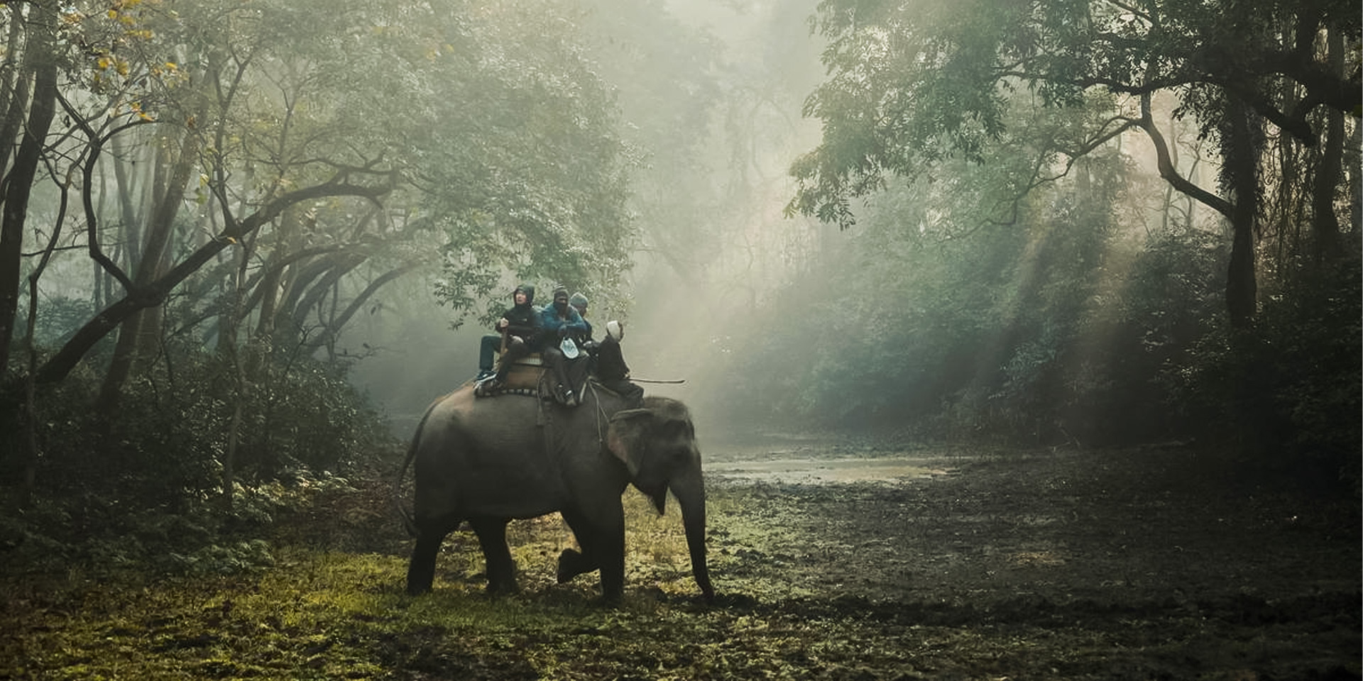 Koshi Tappu Jungle Safari
